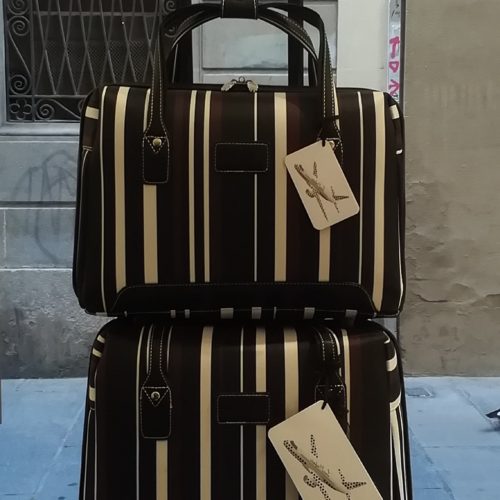 Set Suitcase striped for travel